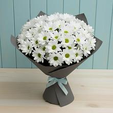 Букет цветов из:  Хризантемы в Нижнеудинске