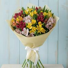 Букет цветов из:  Альстромерии в Нижнеудинске